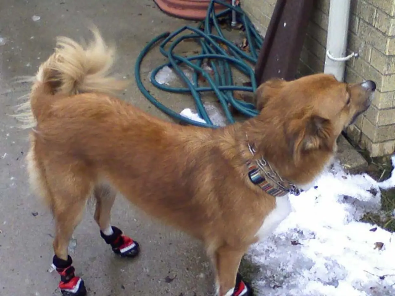 Significant Sale by Cryptocurrency Investor (Whale) of Dogecoin, Causing Substantial Price...