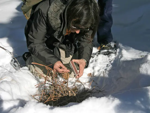 Firefox Fails to Connect While Chrome Succeeds: Identifying Access Issues