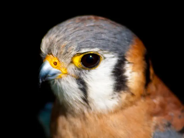 Versatile Nikon Z 24-120 f4 S Lens Shines Across Various Photography Fields