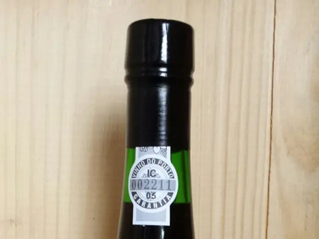 Understanding Beer Kegs: A Journey from Brewery to Bar