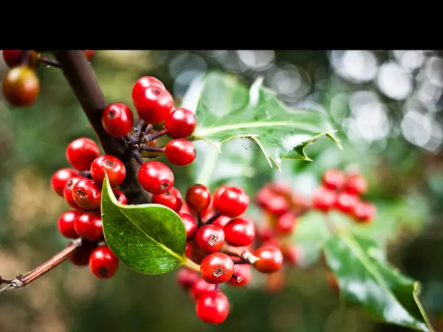 Iconic desktop background undergoes noticeable transformation