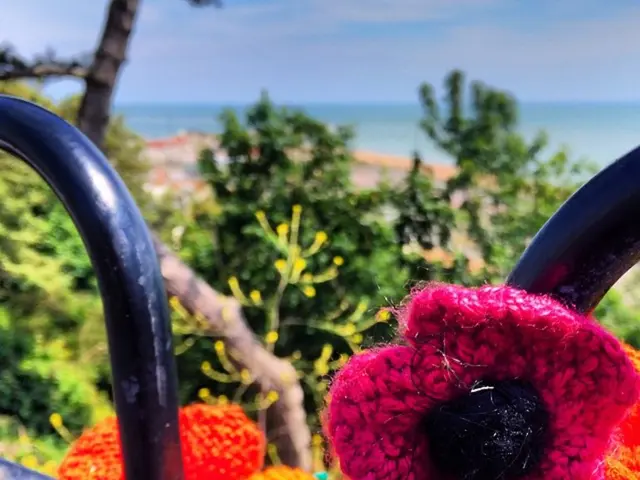 Exploring the Value of Merino Wool: Crucial Information You Need