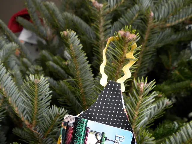 Machine Learning Shines in Credit Card Fraud Detection