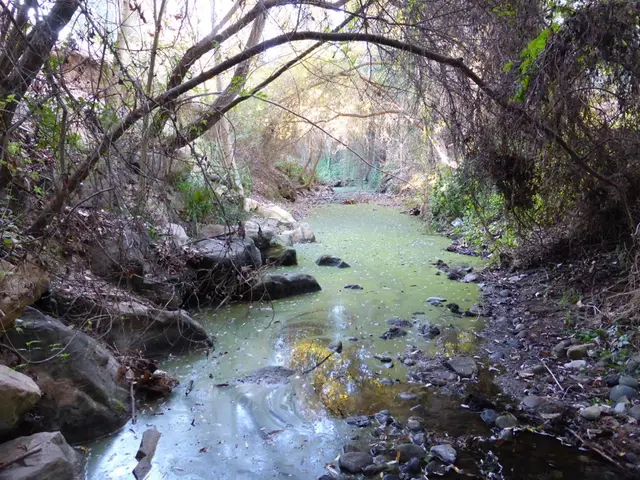 New Insights on the Origins of Life Unveiled from NASA's Bennu Asteroid Sample Analysis