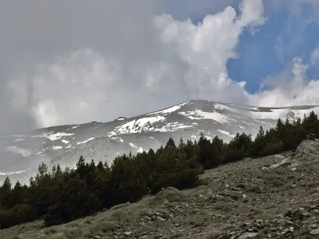 Games from the Silent Hill series, arranged by their release date and chronological sequence: