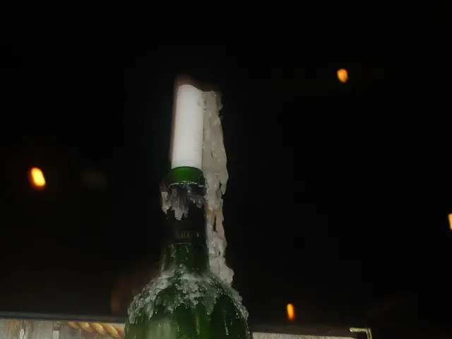 Simplified Online Shopping: Forthcoming Techniques for Seamless Digital Purchases via Clicks