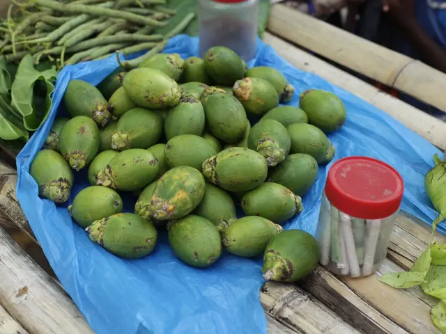 Analyzing the Distinctiveness of Amber Pieces from Yi Kwan Tsang's Mexican Collection