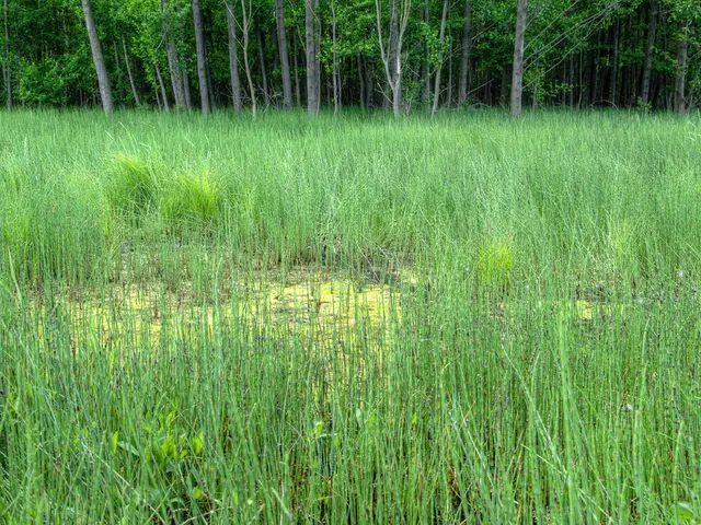 Technology Adoption Necessary for PACS Relevance, Suggests Cooperation Secretary at National...