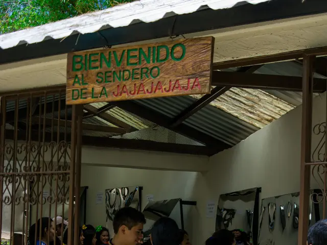 Revealing the Hidden Strategies Behind Achievement in Web Design Firms