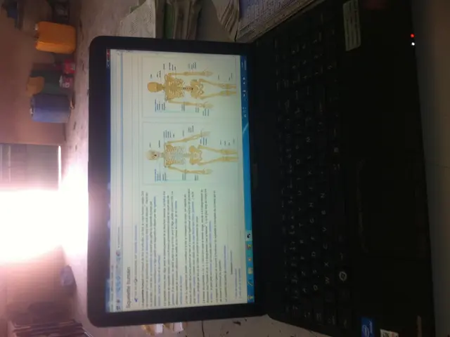 Discover 19 Sizzling Offers on Amazon's Highly-Rated Portable External Hard Drives