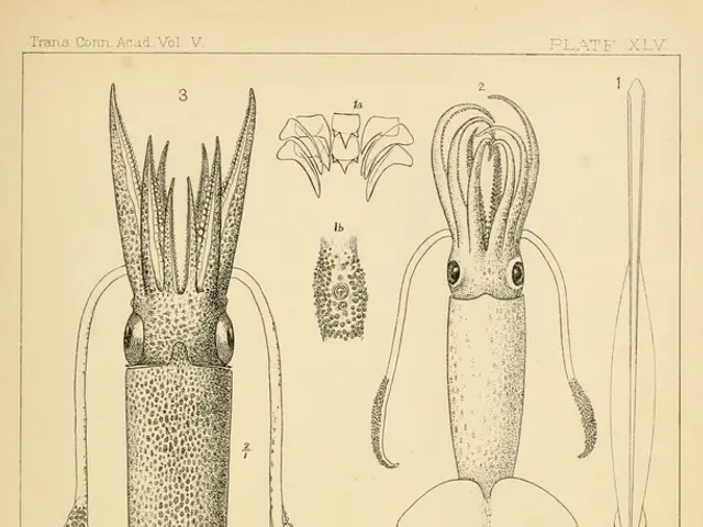 Ancestral Prodigy Lucy's Shocking Capability to Sprint Like a Modern Human 3 Million Years Ago