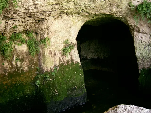 Researchers induce seismic activity in Yellowstone to investigate volcanic depths