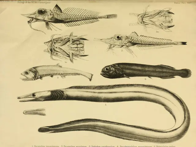 University in Ireland plays pivotal role in unearthing extinct reptile, prompting reevaluation of...