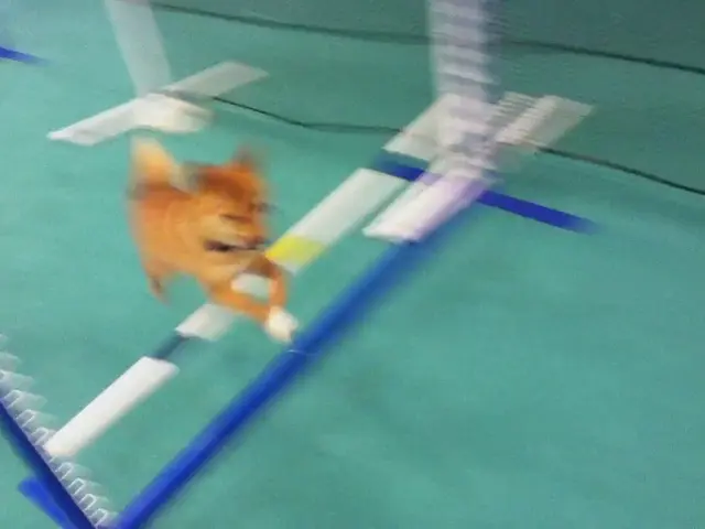 Guide for Enabling GPU Rasterization in Google Chrome