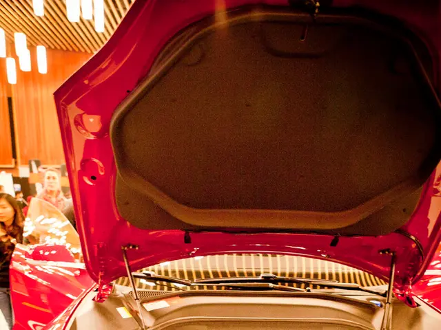 Elon Musk posts video of personally created song from the year 2020