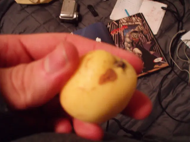 Guidance on Creating Interactive Experiences for Virtual and Enhanced Reality Environments