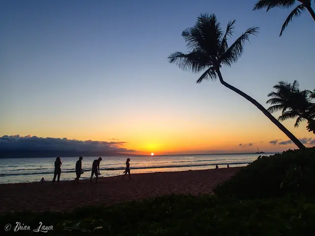 Emotional Design Evolution: Insight into PITAKA's Sunset Collection Impacting Future Trends