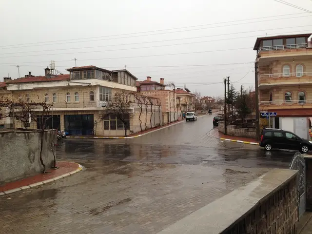 Decrease in Tesla's earnings persists due to a slowdown in electric vehicle sales