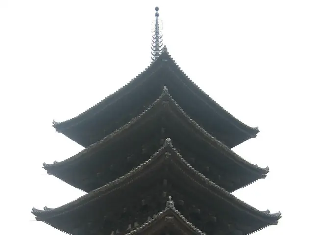 China's Tariff Conundrum in 2025 and Strategies for America