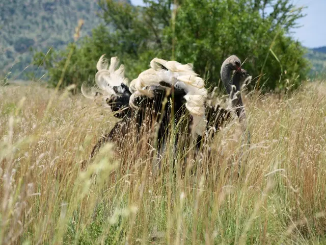 Rural Asset Finance Secures a £120 million Funding Agreement with NatWest and BCI Capital, Backed...