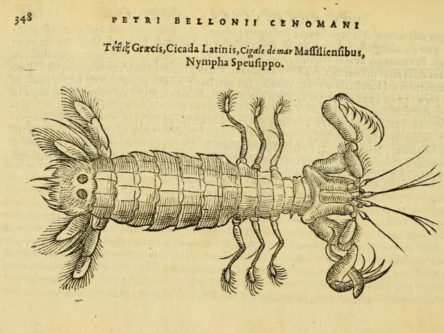 Third edition of the magazine "No Bees, No Life" on our platform has been released