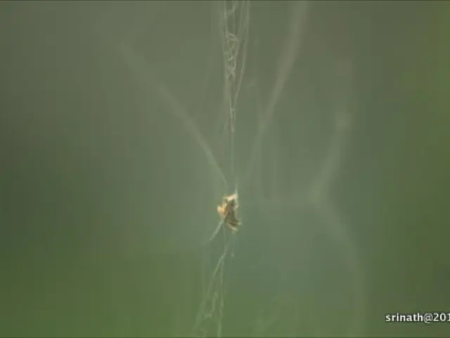 Unveiled: SSL Encryption Flaw in Network Firewalls and Web Security Applications - Critical...