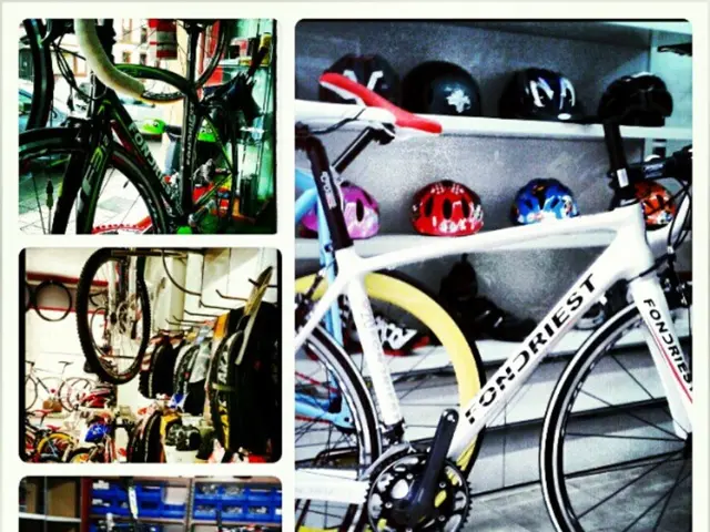 Review of Fizik's individually printed Vento Antares Adaptive saddle, designed for personalized fit