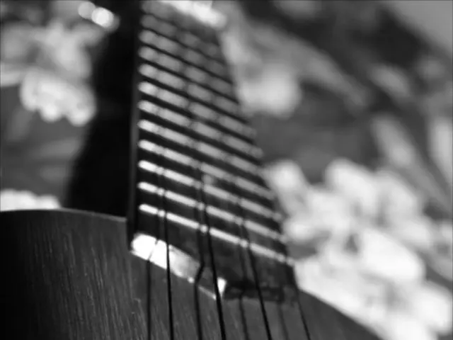 "DigiTech WH-1 Whammy pedal's impact on guitar effects sales, evident by Tom Morello's significant...