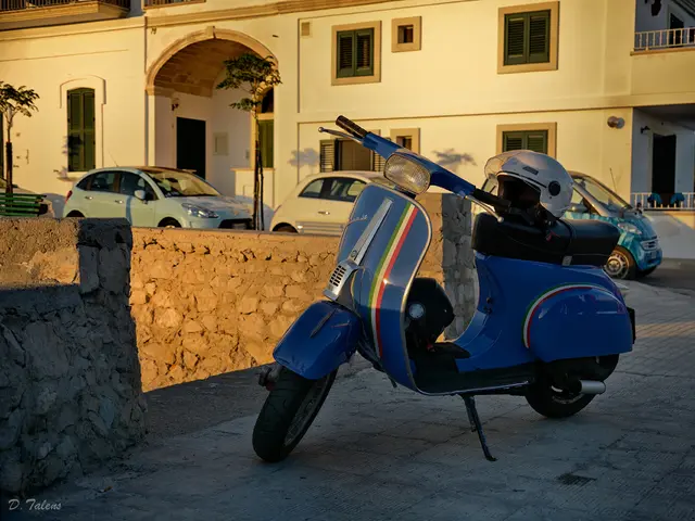 Third-party financial solutions sought by Enphase Energy to bolster their commercial efforts