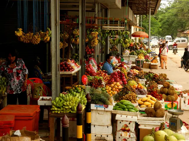 Unveiling the might of organizational diagrams