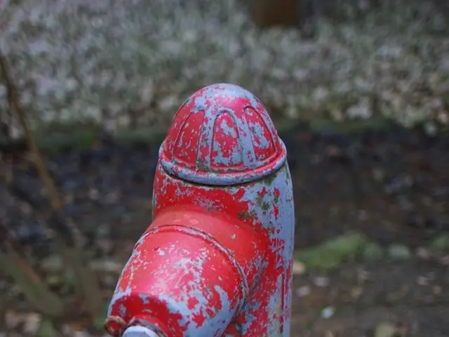 Aid's compatibility with the internal market remains undetermined by the Commission.