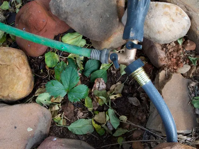 Wastewater Technology Information: Focus on Nutrient Elimination from Side Streams