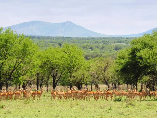 Revised Hunting Application for Fiordland, Emphasizing Safety Measures