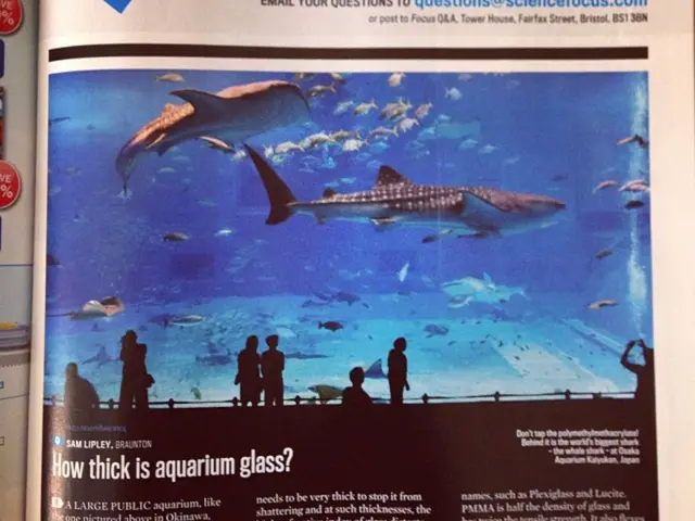 Questioning Alberta's Potential for iGaming Success Comparable to Ontario's, Amidst the Avoidance...