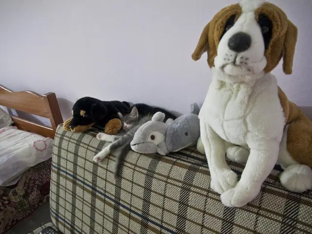 Affordable Innovation: The Small yet Powerful $18 Device Addresses a Frequent Charging Dilemma