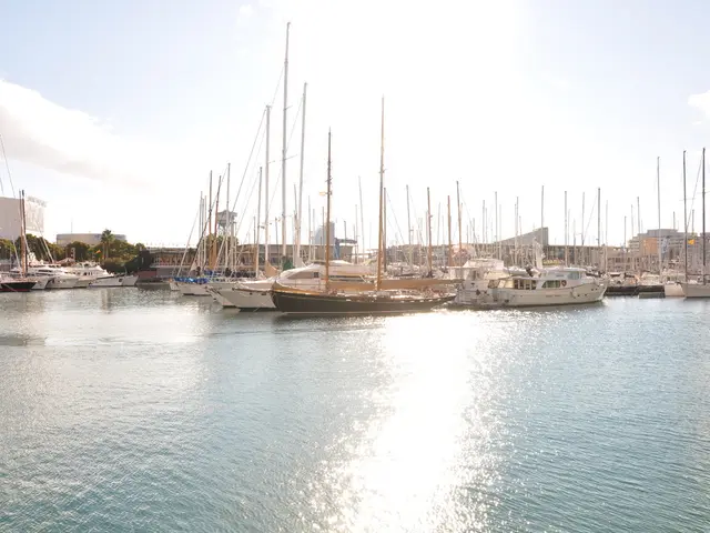 Transformed Strategy of SAP: Insight into Structural Design and Flexibility