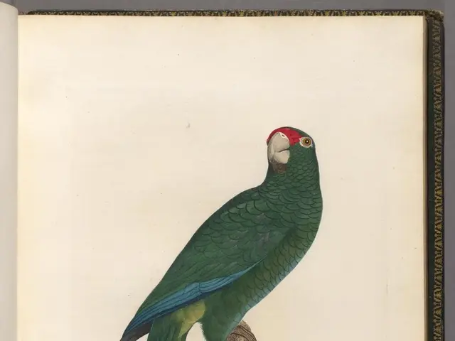 Dwindling AWS market share causes concern for Amazon stock, leading to a price drop. Is this a good...