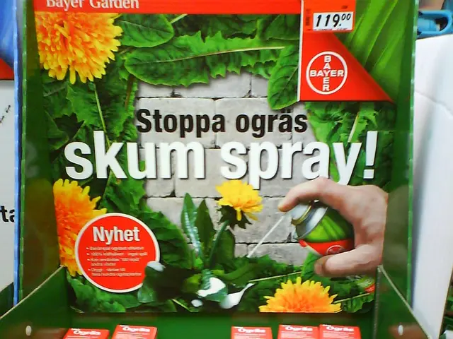 "Kirchplatz exhibitionized a fresh undertaking featuring Brumizer"