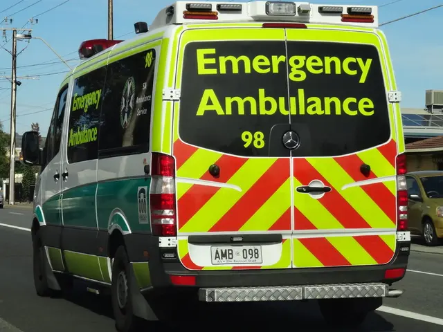 Solar Car Team at Stanford Prepares to Release High-Speed Vehicle Named Black Mamba