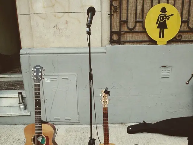 Daily Spotlight Reveal: Seal, known for his passion for guitar pedals, unveils his pedalboard's...