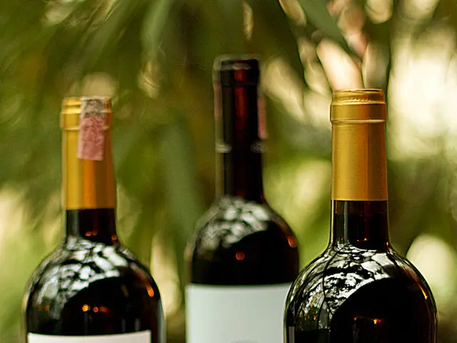 PacBio unveils strategies for enhancing methylation detection in its HiFi chemical process