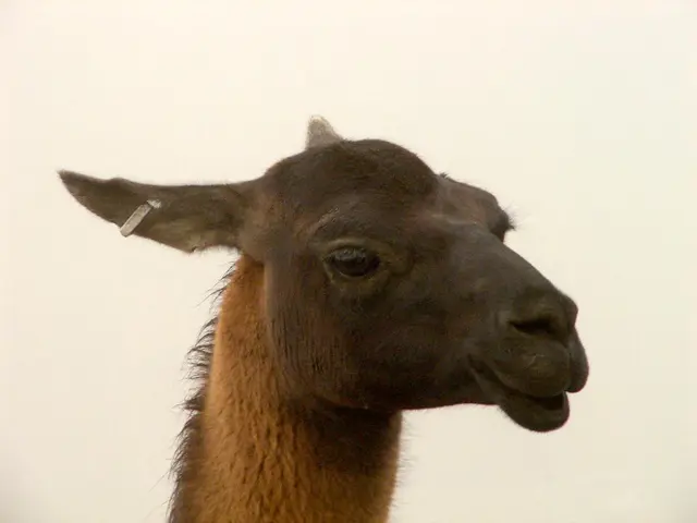 Is it secure to utilize earbuds devoid of the mesh?