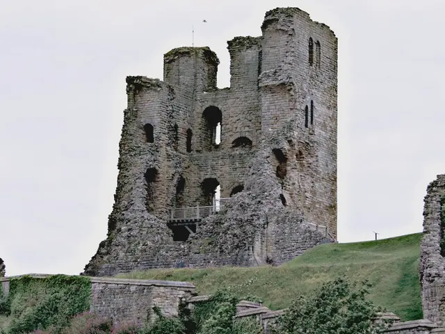 Protective Measures Implemented by Fortinet: Securing FortiWeb Against Potential Cyber Chaos