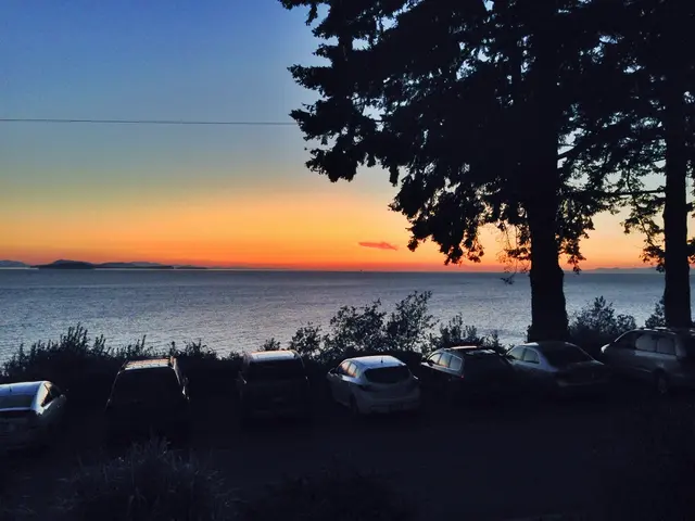 Disruptions caused by the interest group