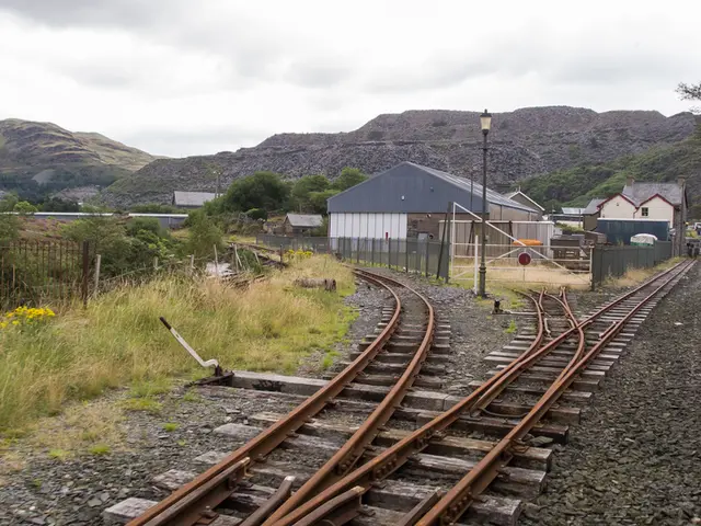 Biomass Gasification Market poised to reach $222.0 billion by 2034