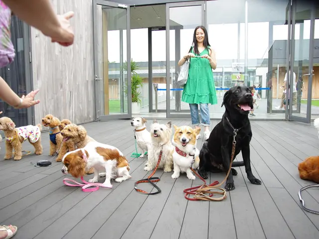 The Impact of a Single GPS Tracker on Everything