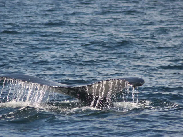 Bitcoin's bullish trend potentially under threat?