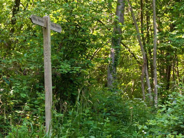 Daily Wordle Solution and Clues for August 9, 2025