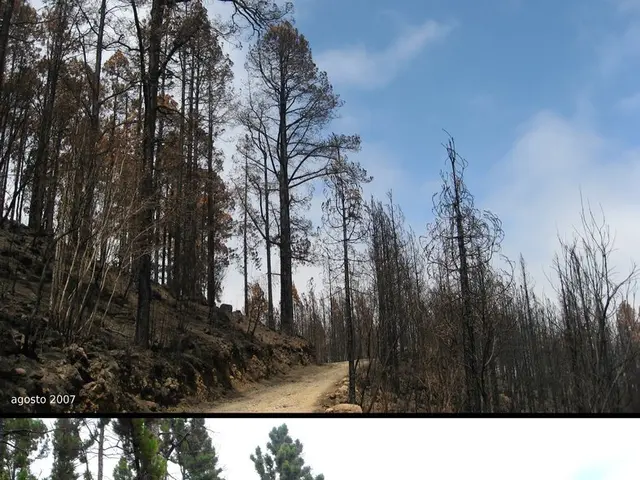 Exploring and Enhancing Outdoor Spaces on Princeton's Grounds: An Analysis of Campus Land...