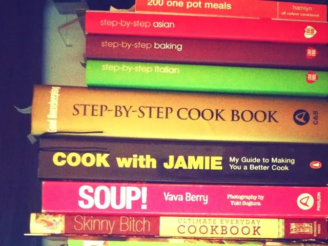 AI and Book Piracy Collide in a Modern Epoch